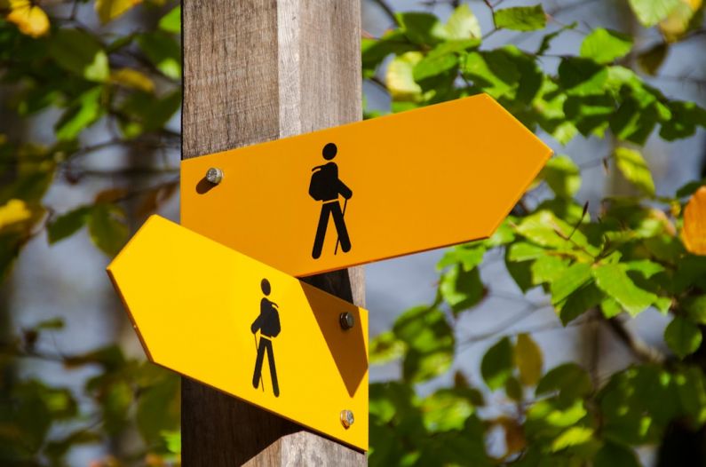 Signs - yellow road signage at daytime