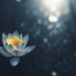 Meditation - selective focus photography of green succulent plant