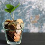 Savings - green plant in clear glass vase