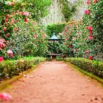 Garden - brown pathway between green plants