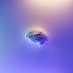 Brain Health - blue and green peacock feather