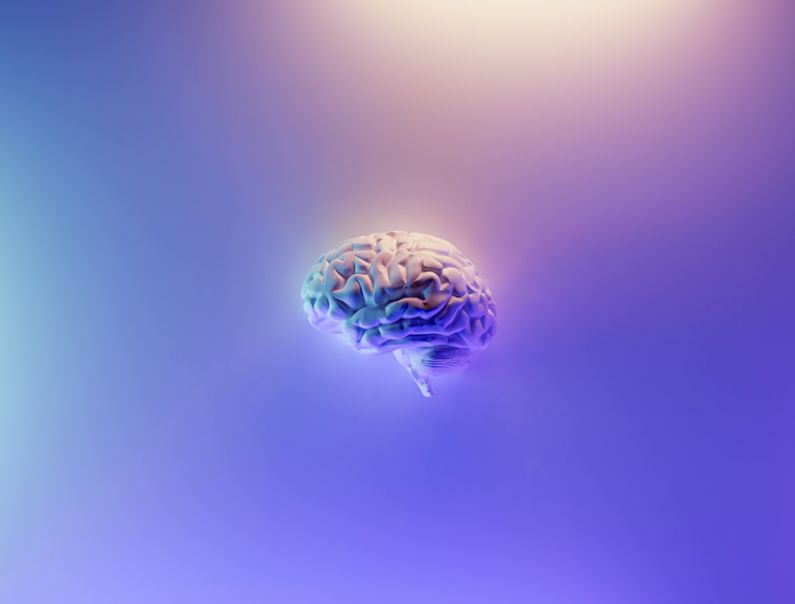 Brain Health - blue and green peacock feather