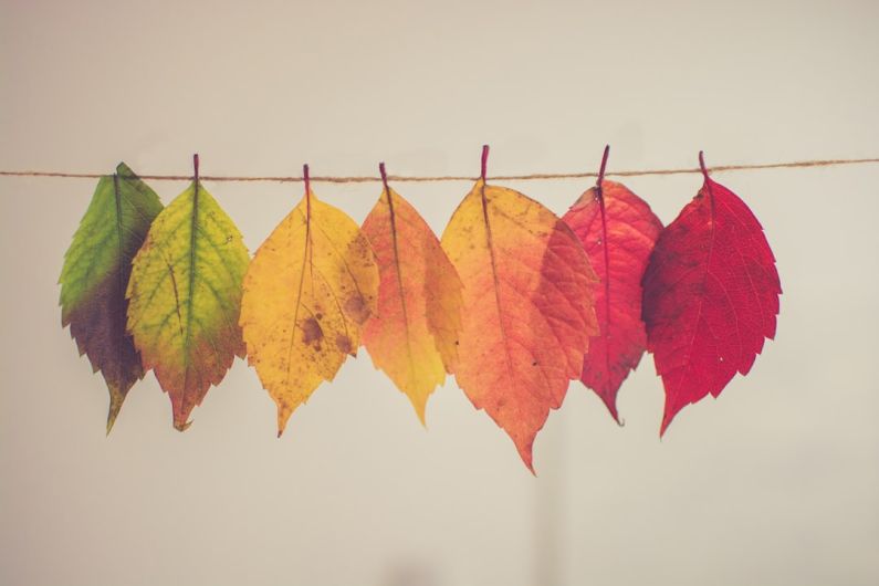 Season - assorted-color lear hanging decor