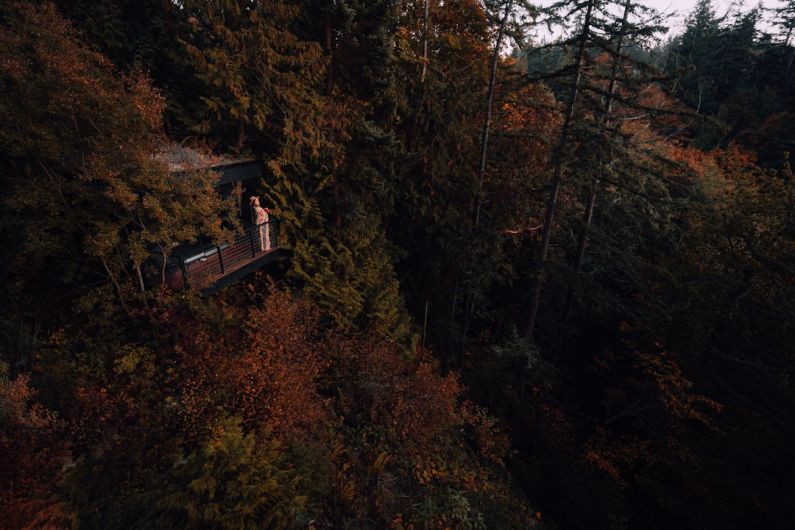 Nighttime Routine - brown wooden house on top of brown and green trees